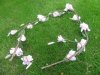 1Pc Pink Artificial Magnolia Flower Leaf Garland Vine String