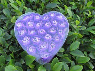 4Boxes x 24 Purple Rose Buds Lover Mother Teacher Gift