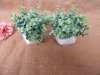 2Pcs Realistic Artificial Eucalyptus Plant in Pot Room Home