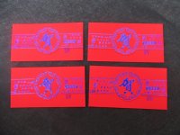 12Pkts X 6Pcs Chinese Traditional RED PACKET Envelope 17x9cm