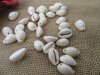 100g (90Pcs) Cowrie Natural Shell Bead Charm Jewelry Craft