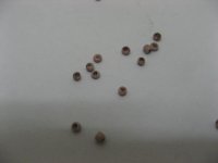 1Bag x 30000pcs Opaque Glass Seed Beads 1.9mm
