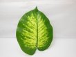 20X Artifial Fake Lifelike Greeny Leave 19x14cm (image for) 20X Artifial Fake Lifelike Greeny Leave 19x14cm