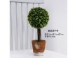 1Pc Realistic Artificial Boxwood Ball Plant in Pot Home Garden (image for) 1Pc Realistic Artificial Boxwood Ball Plant in Pot Home Garden