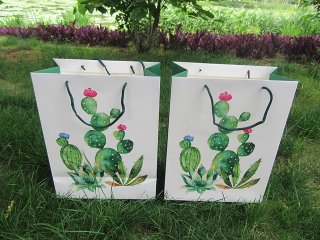 10Pcs Cactus Succulent Design Paper Gift Shopping Bag Assorted (image for) 10Pcs Cactus Succulent Design Paper Gift Shopping Bag Assorted