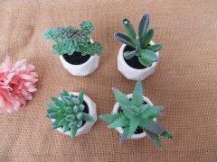 (image for) 4Pcs Realistic Artificial Succulent Plant in Pot Home Office
