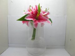 (image for) 7X Clear Glass Table Flower Vases 26.5cm High