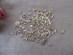 2000Pcs Golden Plated Faux Rice Beads Loose Beads 4x12mm