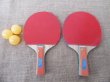 (image for) 6Sets Ping Pong Table Tenis Sport Round Bats with Balls