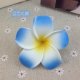 50 New Blue Fabulous Foam Frangipani Flower 4.5x2.5cm