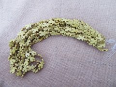 10Strands X 23Pcs Yellow Bear Gemstone Beads 19x15x4mm 10Strands X 23Pcs Yellow Bear Gemstone Beads 19x15x4mm