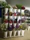 20Buckets White Flower Display Movable Shelf Stand Rack Flower