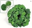 (image for) 12X Begonia Leaf Garland Wedding Flower Arch Decoration