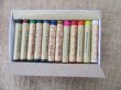 (image for) 12Pcs Oil Pastels Art Crafts DIY Scrapbooking Art Embellishments