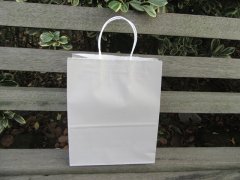 (image for) 48 Bulk Kraft Paper Gift Carry Shopping Bag 21.5x16x8cm Silver