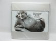 6Pcs Photo Frame Place Card Holder Wedding Favor 13x12cm (image for) 6Pcs Photo Frame Place Card Holder Wedding Favor 13x12cm