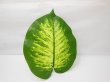 20X Artifial Fake Lifelike Greeny Leave 19x14cm