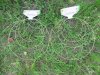 24Sets x 3Pcs Brass Wreath Ring Metal Frame Base Wire DIY 24Sets x 3Pcs Brass Wreath Ring Metal Frame Base Wire DIY
