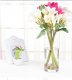 12X Wedding Clear Glass Cylinder Table Flower Vases 295*100mm 12X Wedding Clear Glass Cylinder Table Flower Vases 295*100mm