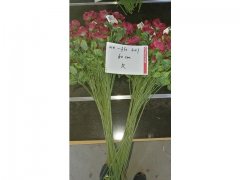 10Pcs Red Flower 60cm Long we-flo201 10Pcs Red Flower 60cm Long we-flo201