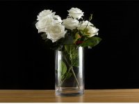 12X Wedding Clear Glass Cylinder Table Flower Vases 25x15cm