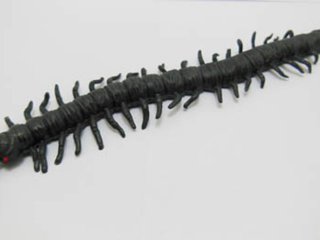 30 Soft Plastic Vivid Scolopendra Great Toy 150mm
