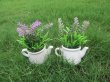 12Pcs Modern Artificial Lavender Flower Potted Plants Centerpiec (image for) 12Pcs Modern Artificial Lavender Flower Potted Plants Centerpiec