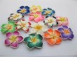 (image for) 20 Fimo Beads Frangipani Jewellery Finding Mixed