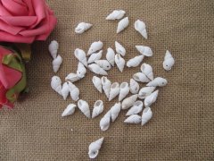 (image for) 100g (180Pcs) White Spiral Natural Shell Bead Charm Jewelry