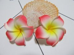 (image for) 50 New Red & Yellow Fabulous Foam Frangipani Flower 5x2cm