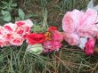 12Pcs Artificial Roses Bouquet Leaves Branch Etc for Home Wedding Decor Assorted (image for) 12Pcs Artificial Roses Bouquet Leaves Branch Etc for Home Wedding Decor Assorted