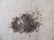 250Grams Coffee Color Tube Glass Seed Beads (image for) 250Grams Coffee Color Tube Glass Seed Beads