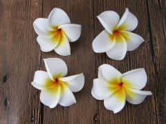 (image for) 50 New White Fabulous Foam Frangipani Flower 5x2cm