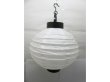5Pcs Plain White Led Paper Lantern w/Mini Bulb 20cm (image for) 5Pcs Plain White Led Paper Lantern w/Mini Bulb 20cm