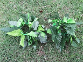 (image for) 2 x 6Pair (24pieces) Artifical Green Leave Bracelet Hawaiian Dress Party Flower