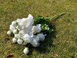 6Pcs Elegant White Cabbage Roses Artificial Flower Decoration (image for) 6Pcs Elegant White Cabbage Roses Artificial Flower Decoration