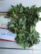 5X Artificial Green Grape Vine Leaves Hanging Decorations we-flo