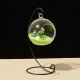 4X Hanging Glass Flower Plant Vase Stand Candle Holder 10cm Dia.