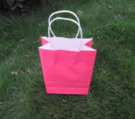 48 Bulk Kraft Paper Gift Carry Shopping Bag 22x16x8cm Pink