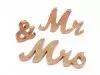 1Set Champagne Large Size Mr & Mrs Wedding Sign Decoration 1Set Champagne Large Size Mr & Mrs Wedding Sign Decoration