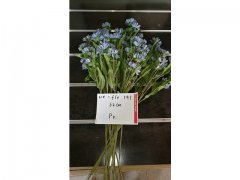 8Pcs Purple Flower 62cm Long we-flo191 8Pcs Purple Flower 62cm Long we-flo191