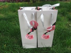 (image for) 6Pcs Unqiue Flower Design Wine Gift Bag Shopping Bag