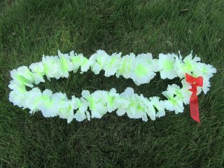 (image for) 48 Pieces White & Light Green Hawaiian Dress Party Flower Leis/Lei