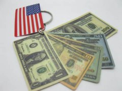 (image for) 4x12Pcs Plastic US Dollar & Flag with Key Rings