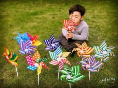 (image for) 50 Plastic Stripe Colourful Flower DIY Windmill Outdoor Toys