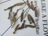 200Pcs Alloy Metal Feather Shape Charms Pendants Assorted
