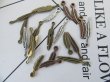 (image for) 200Pcs Alloy Metal Feather Shape Charms Pendants Assorted