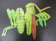 (image for) 5Pcs 3D Foam The Locusts Puzzles Education Toy
