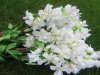 3Pcs Peach Blossom Artificial Flower Home Wedding Decoration - W