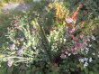 12Pcs Artificial Wildflower Bouquet Faux Mixed Floral Arrangement Craft Stem (image for) 12Pcs Artificial Wildflower Bouquet Faux Mixed Floral Arrangement Craft Stem